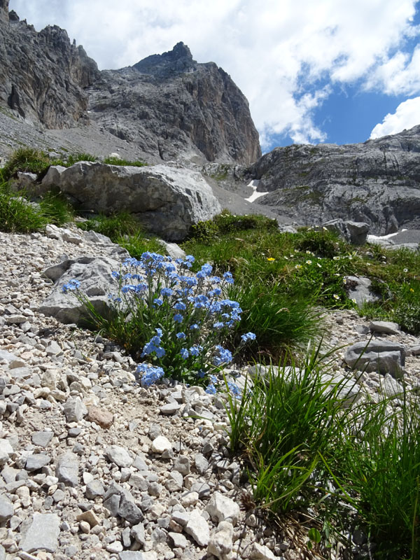 XII Apostoli........Gruppo di Brenta